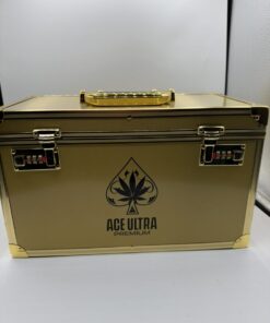 ACE Ultra Premium Dual 4G Disposable